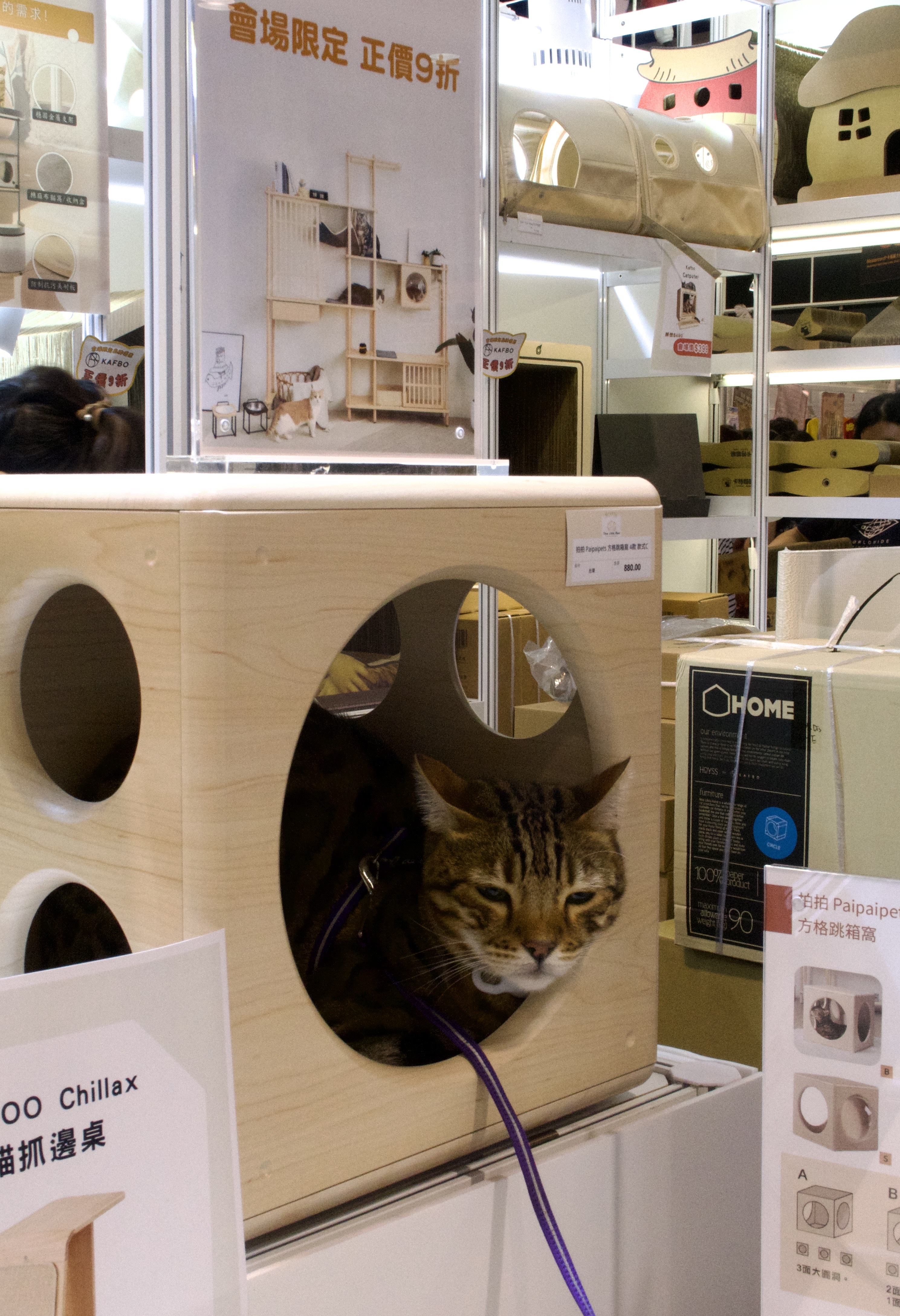 主子於貓展當日親身試用Three Little Meow其中一件Signature產品